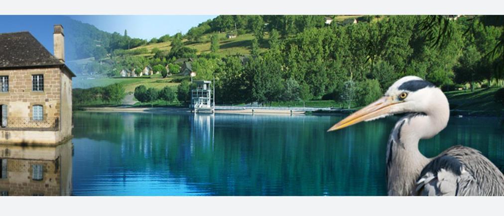 En Toute Quietude Lissac-sur-Couze Extérieur photo
